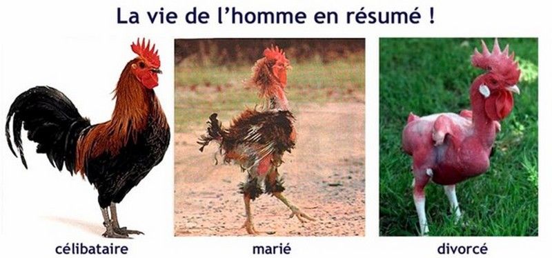 A l'instant T tout sur le moment - Page 3 2b56bb22